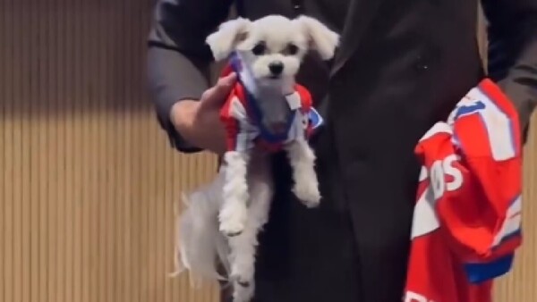 Llevó a su perrito a su presentación como jugador del Atlético de Madrid
