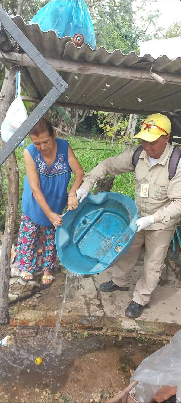 Dengue: disminuyen las notificaciones de casos sospechosos en Ayolas - Nacionales - ABC Color