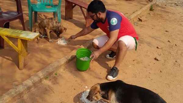 Dieron de comer a perros callejeros en honor a San Roque