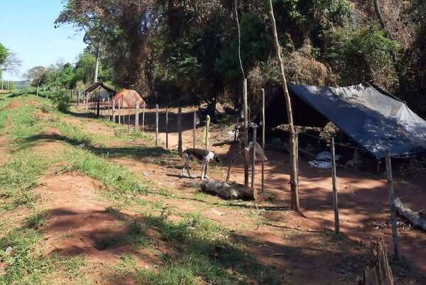 ARP condena invasiones violentas en Capiibary y Caaguazú, y exige acción urgente del Gobierno - Nacionales - ABC Color