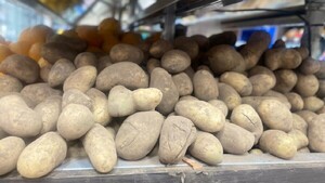 Precio de papa se encuentra en alza y sube casi el 100%