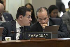 Paraguay y otros diez países patrocinan en OEA resolución sobre crisis en Venezuela - Mundo - ABC Color