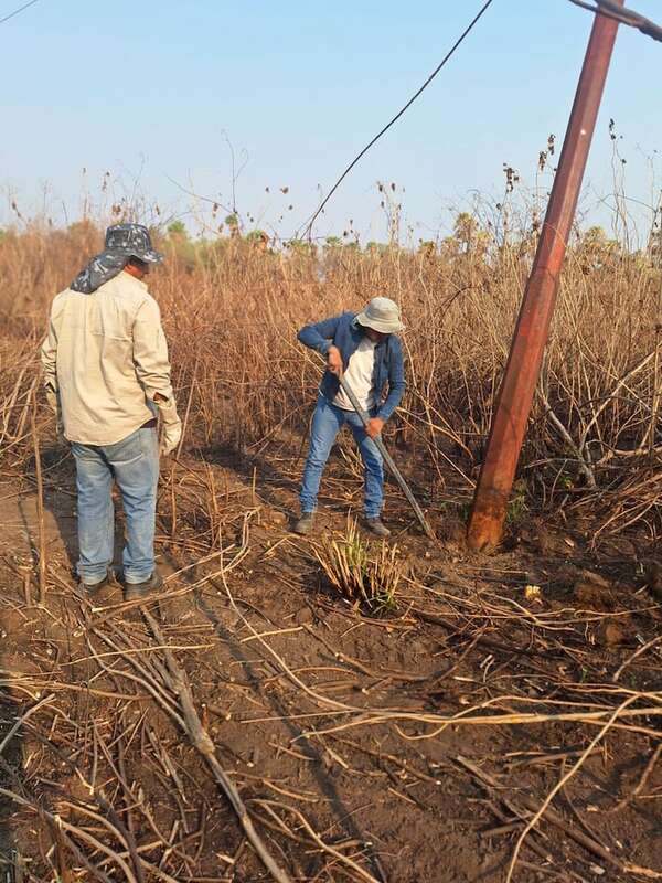 Incendios forestales afectan tendido eléctrico de ANDE en Alto Paraguay - Noticias del Chaco - ABC Color
