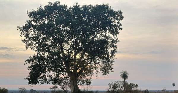 La Nación / Colosos de la Tierra anunció a la “Mejor fotografía de naturaleza” del 2024
