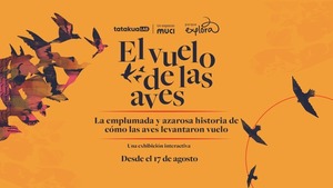 MuCi: invitan a descubrir secretos del vuelo de las aves y la supervivencia de los dinosaurios - .::Agencia IP::.