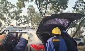 Feroz árbol cayó sobre vehículo y doña quedó atrapada