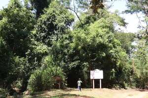 Reportan 27 puntos de calor en áreas protegidas - Nacionales - ABC Color