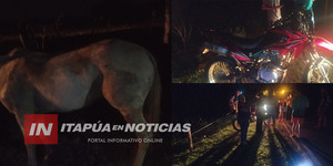 DOS JÓVENES RESULTARON HERIDOS TRAS IMPACTAR CONTRA UN CABALLO - Itapúa Noticias