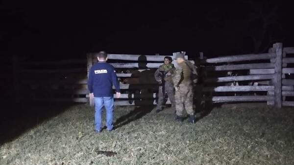 Polis se enfrentaron a tiros con abigeatos