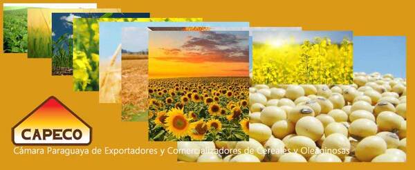 Logística terrestre favorece a exportación de maíz, destaca Capeco - ADN Digital