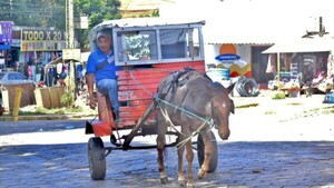 El karumbe no detiene su marcha y lo postulan como patrimonio vivo del país