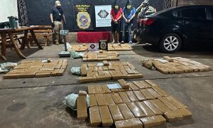 Incautan 250 kilos de marihuana que eran llevados en automóvil