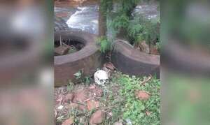 Niños encontraron un cráneo humano en un arroyo - ABC en el Este - ABC Color