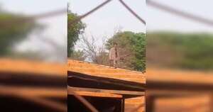Diario HOY | Atacó a su madre con un machete y Policía evitó que acabe en tragedia