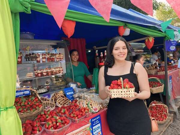 Frutillas: variedades, precios y expectativas en Areguá - Nacionales - ABC Color