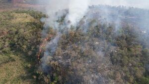 Mades estima unas 200 hectáreas afectadas por incendio en Parque Nacional Cerro Corá