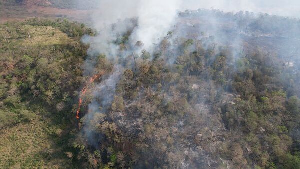 Mades estima unas 200 hectáreas afectadas por incendio en Parque Nacional Cerro Corá