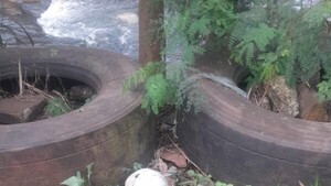 Niño encuentra cráneo humano en el arroyo Acaraymi