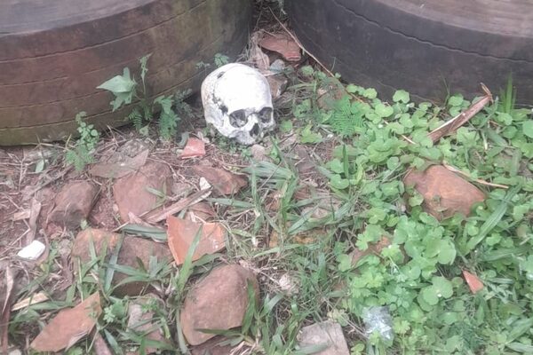 Niños encuentran cráneo humano en arroyo