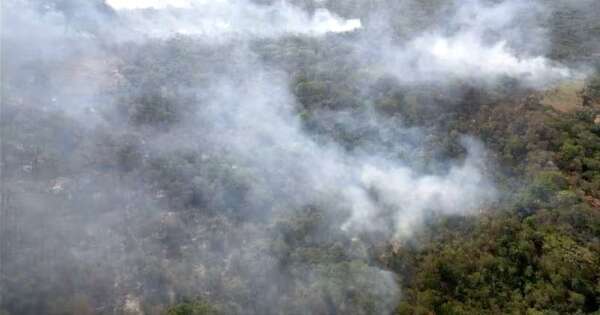 La Nación / Declaran emergencia por gran incendio en parque