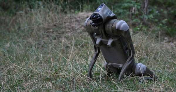 Diario HOY | Perros robot ayudarán a soldados ucranianos en el frente