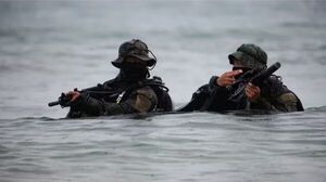 EEUU y Corea del Sur comenzaron maniobras militares conjuntas