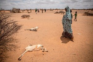 La peor sequía en un siglo mantiene en crisis alimentaria a 70 millones de personas en el sur de África - ADN Digital