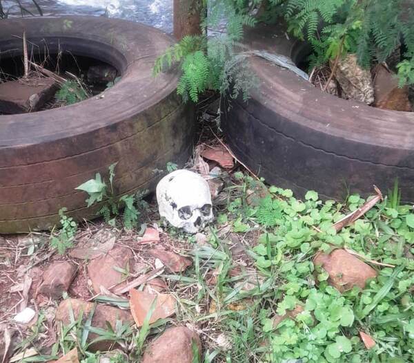 Hallan cráneo humano a orillas del arroyo Acaraymí en Ciudad del Este - La Clave