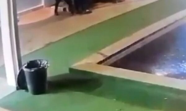 Policías ingresaron a hurtan en quinta de CDE