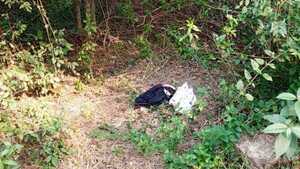 Abuso en Parque Guasu: “Me hizo las peores cosas”