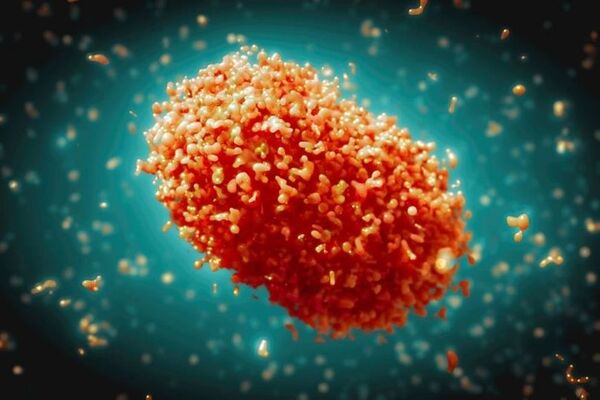 MEDIDAS PARA PREVENIR LA VIRUELA SÍMICA - Itapúa Noticias