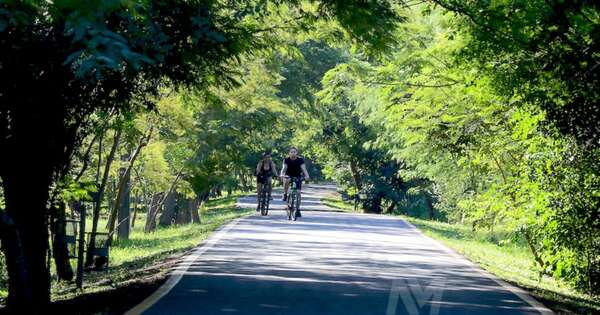 La Nación / Intensificarán seguridad en el Parque Guasu tras denuncia de abuso