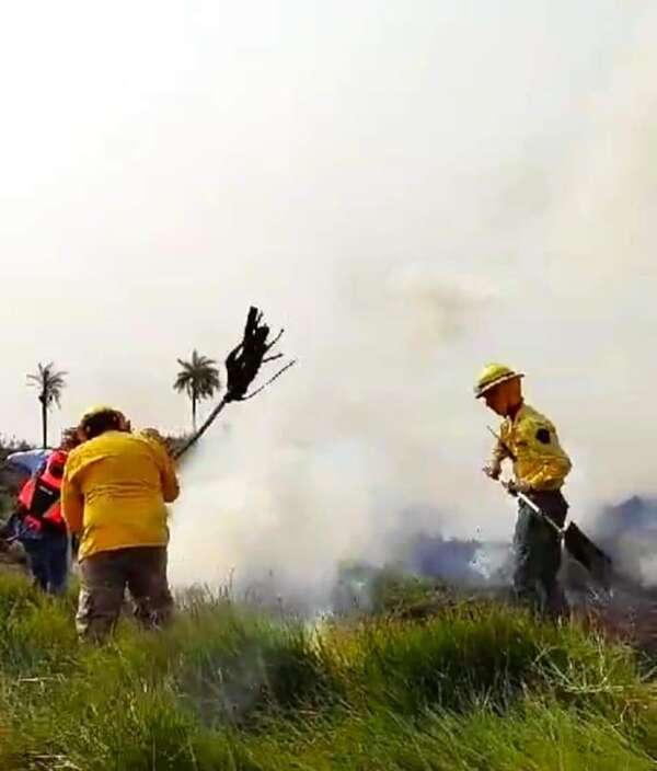 Quiindy: incendio de gran magnitud de pastizales - Nacionales - ABC Color