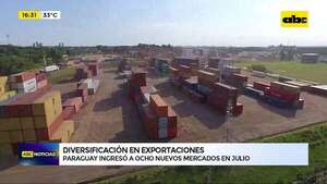 Diversificación en exportaciones: Paraguay ingresó a ocho nuevos mercados en julio - ABC Noticias - ABC Color