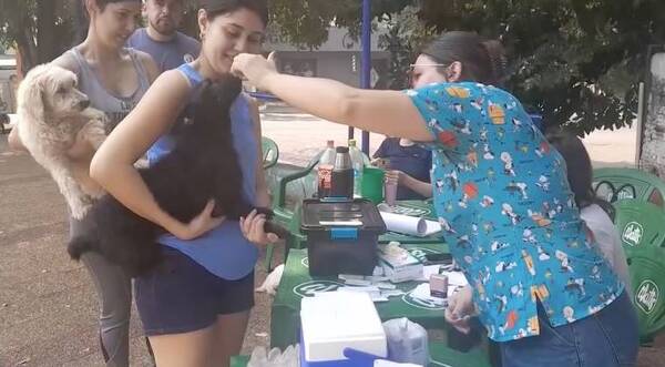 "Me sumo mascotas" realizó vacunación y prepara castración gatuna