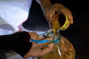 Perú lanza una guía para un uso seguro de la ayahuasca, tras el aumento de su popularidad - Mundo - ABC Color