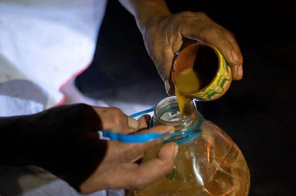 Perú lanza una guía para un uso seguro de la ayahuasca, tras el aumento de su popularidad - Mundo - ABC Color