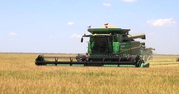 La Nación / Unas 693.000 t de arroz se embarcaron al exterior
