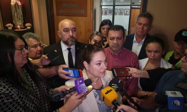 Rocío Abed afirma que exigirán esclarecimiento del operativo que acabó con la vida de diputado Gomes – Diario TNPRESS