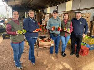 Horticultor de Yguazú obtuvo sello de calidad para locotes de colores - La Clave