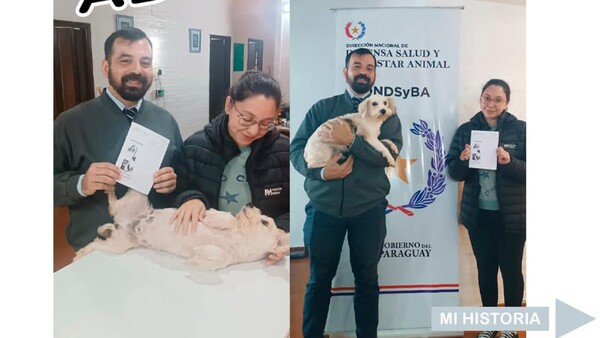 Adoptan a perro quemado con agua caliente: solo quería comer un pancho