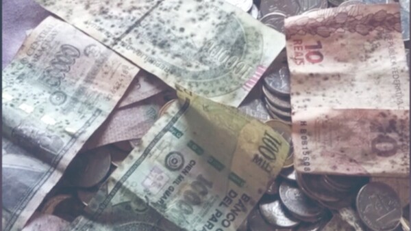 Comenzó a ahorrar y sus billetes se llenaron de moho