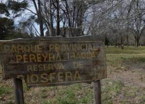 Demasiado nio ya querían hacer “eso”… pero el tema es el lugar que eligieron y cómo terminó todo