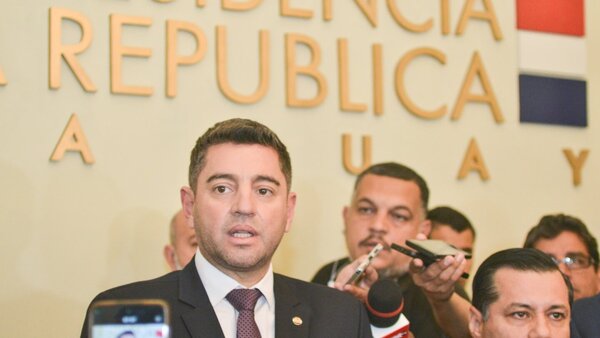 Alliana sale al paso de Diputados: “Expreso mi desacuerdo con el pedido de destitución”