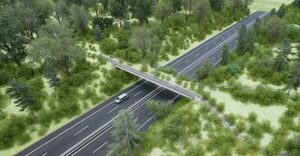 Paraguay contará con el primer paso de fauna elevado en el Corredor Metropolitano del Este