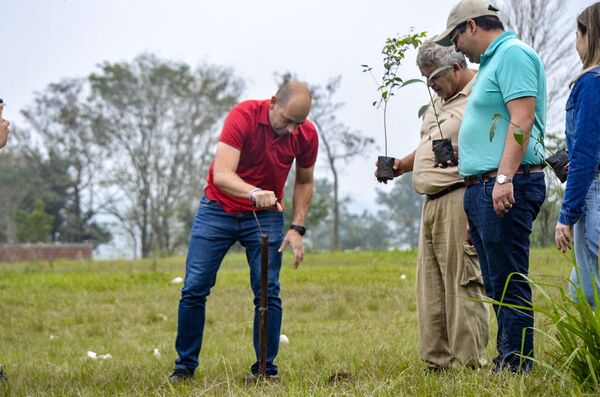 Exitosa plantación de arboles y limpieza en la plaza del Barrio Tacuarí de Arroyo Porã