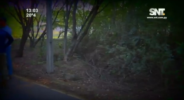 Inseguridad de los parques públicos en Paraguay - SNT