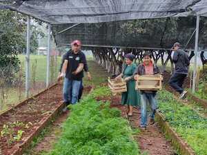 220 personas se benefician con plantines para huertas familiares en Cambyretá