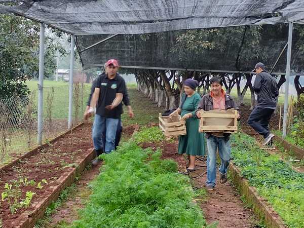 220 personas se benefician con plantines para huertas familiares en Cambyretá