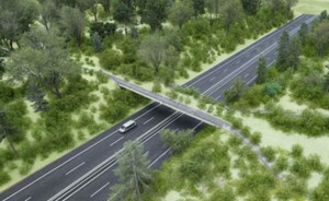 Corredor Metropolitano del Este contará con un paso de fauna elevado